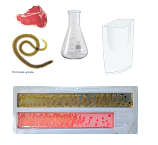 Products for Veterinary Laboratories