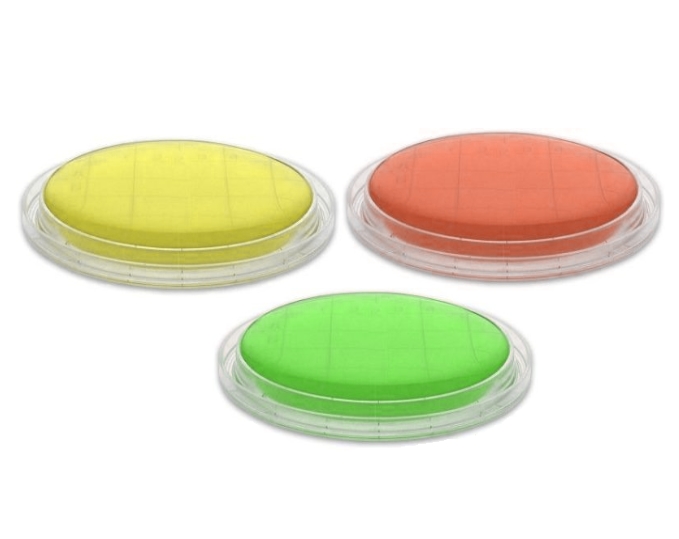 TRYPTIC SOY AGAR (Contact Plates)