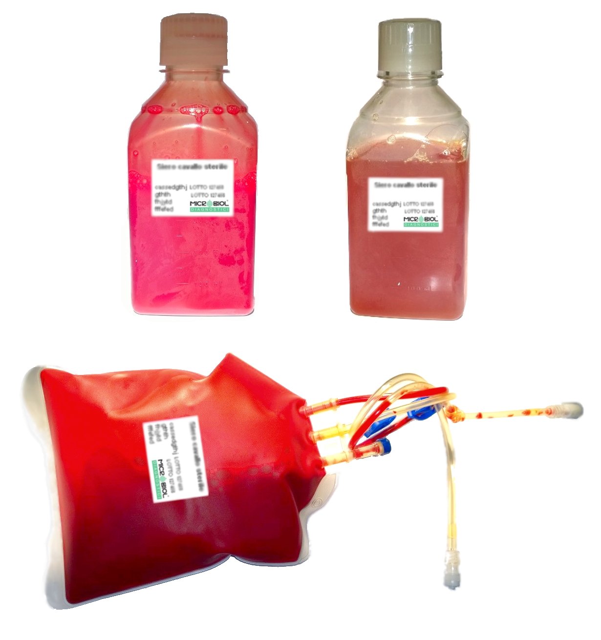 SANGUE DEFIBRINATO DI CAVALLO