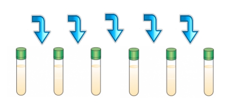 EP NEUTRALISING DILUENT