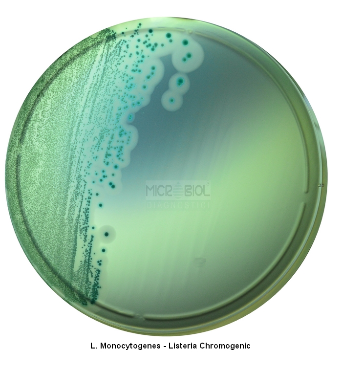 LISTERIA CHROMOGENIC AGAR BASE (OTTAVIANI-AGOSTI)