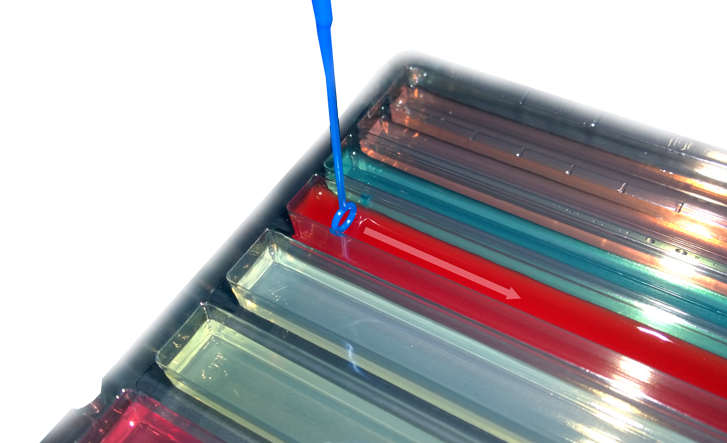 linearcount microbiol